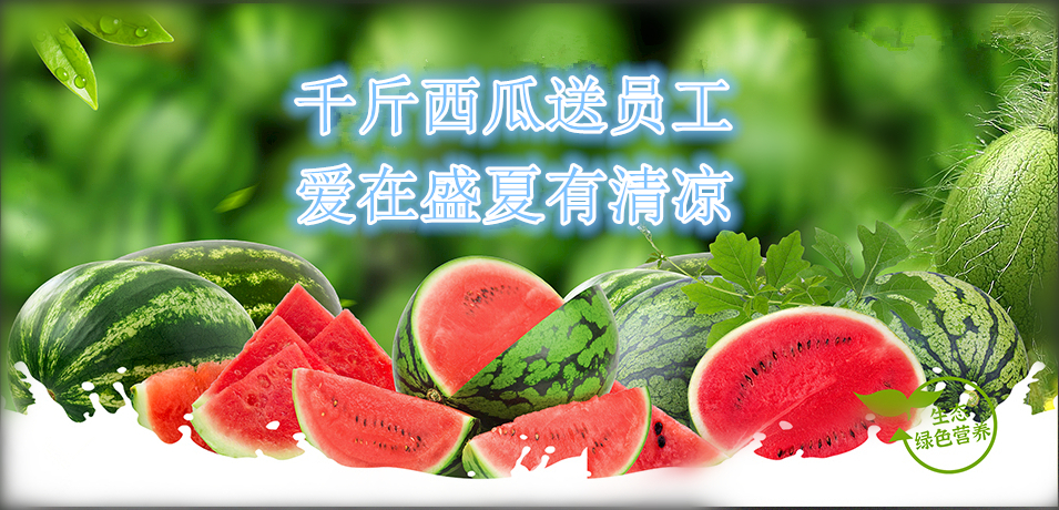 通達軟件公司： 千斤西瓜送員工，愛在盛夏有清涼